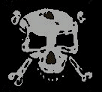 class war - skull and cross bones