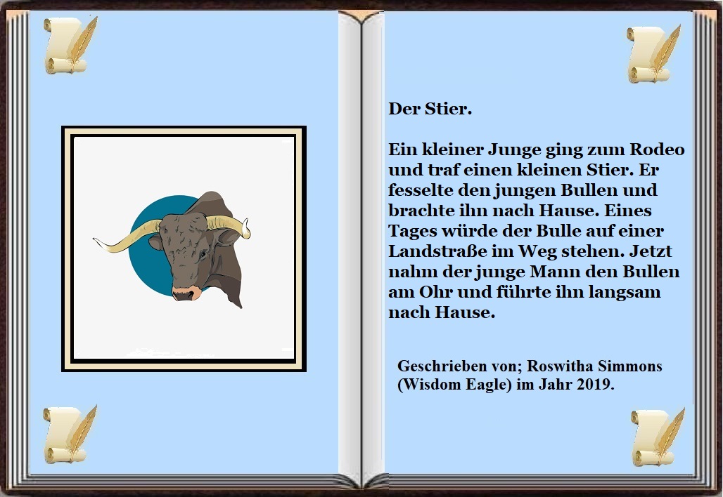 Stier