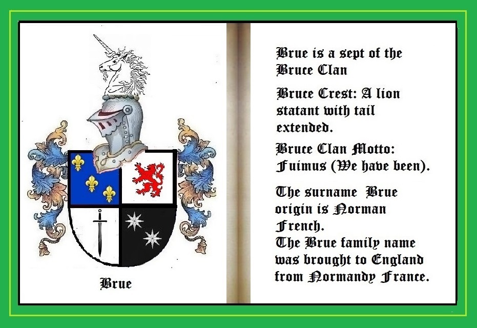 Brue Wappen Insert