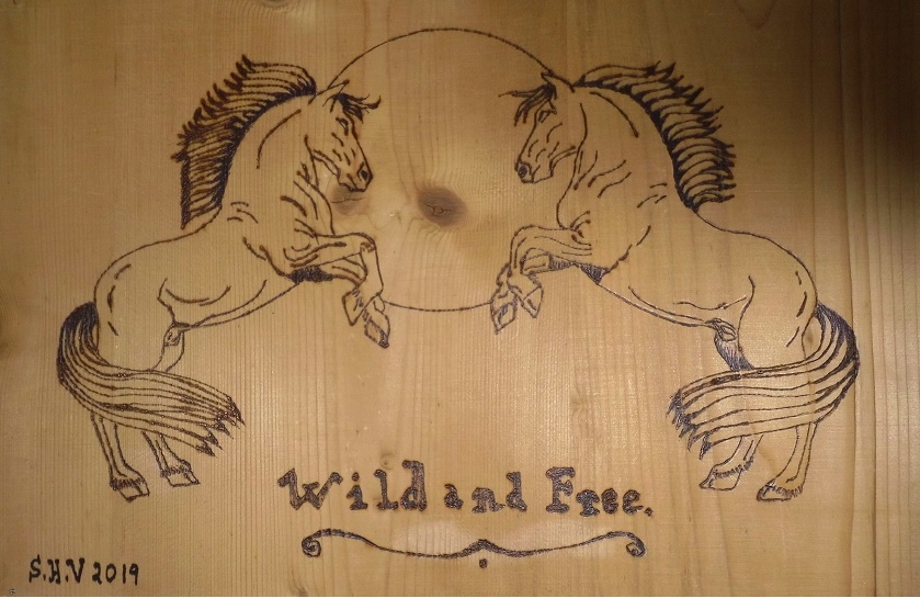 wild and free